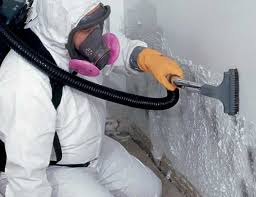 Best Crawl Space Mold Remediation  in Jefferson, OH